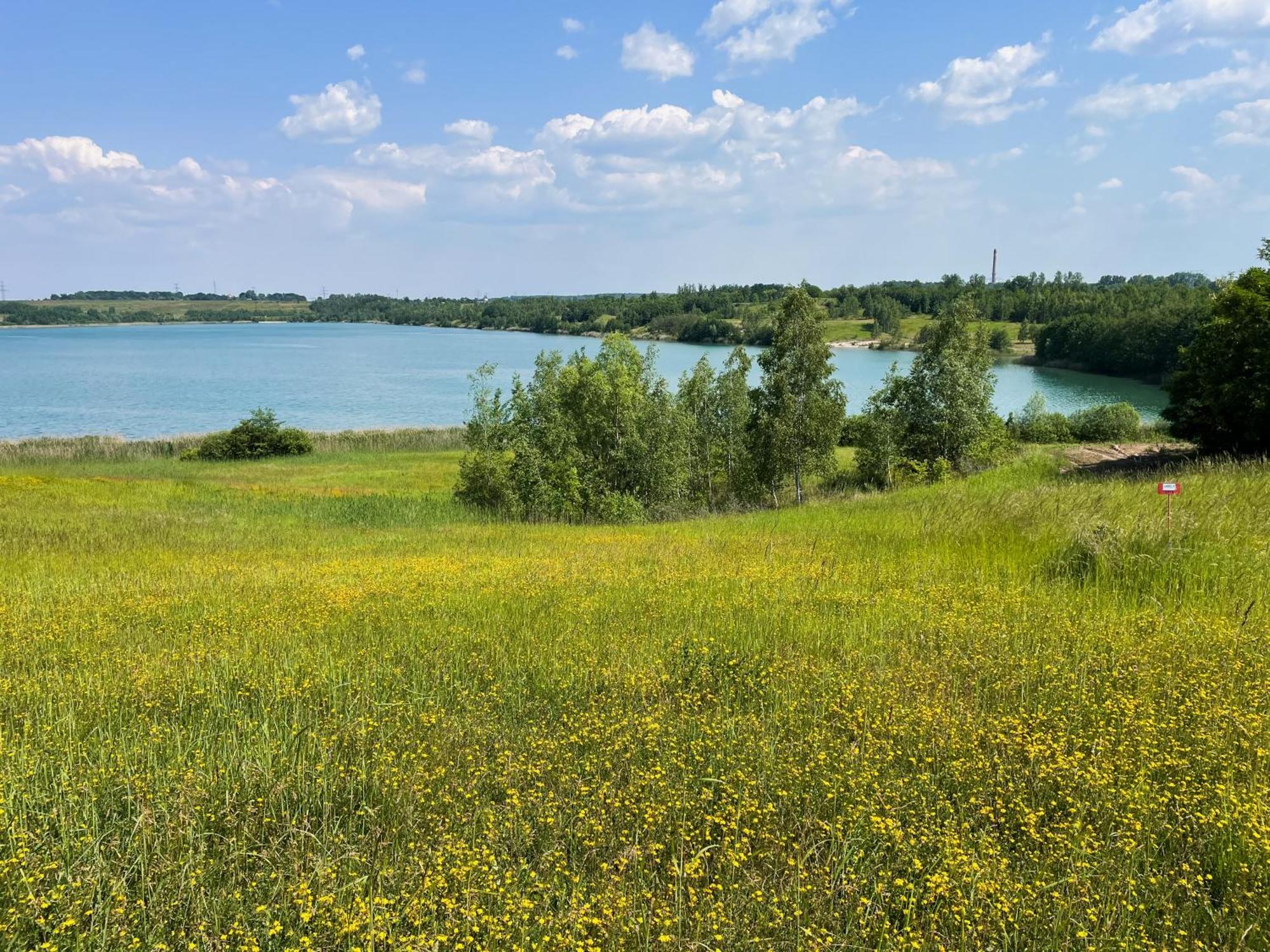 Haus Im Schilf 1 - Ferienwohnungen Am Hainer See Bei Leipzig Neukieritzsch Exteriér fotografie